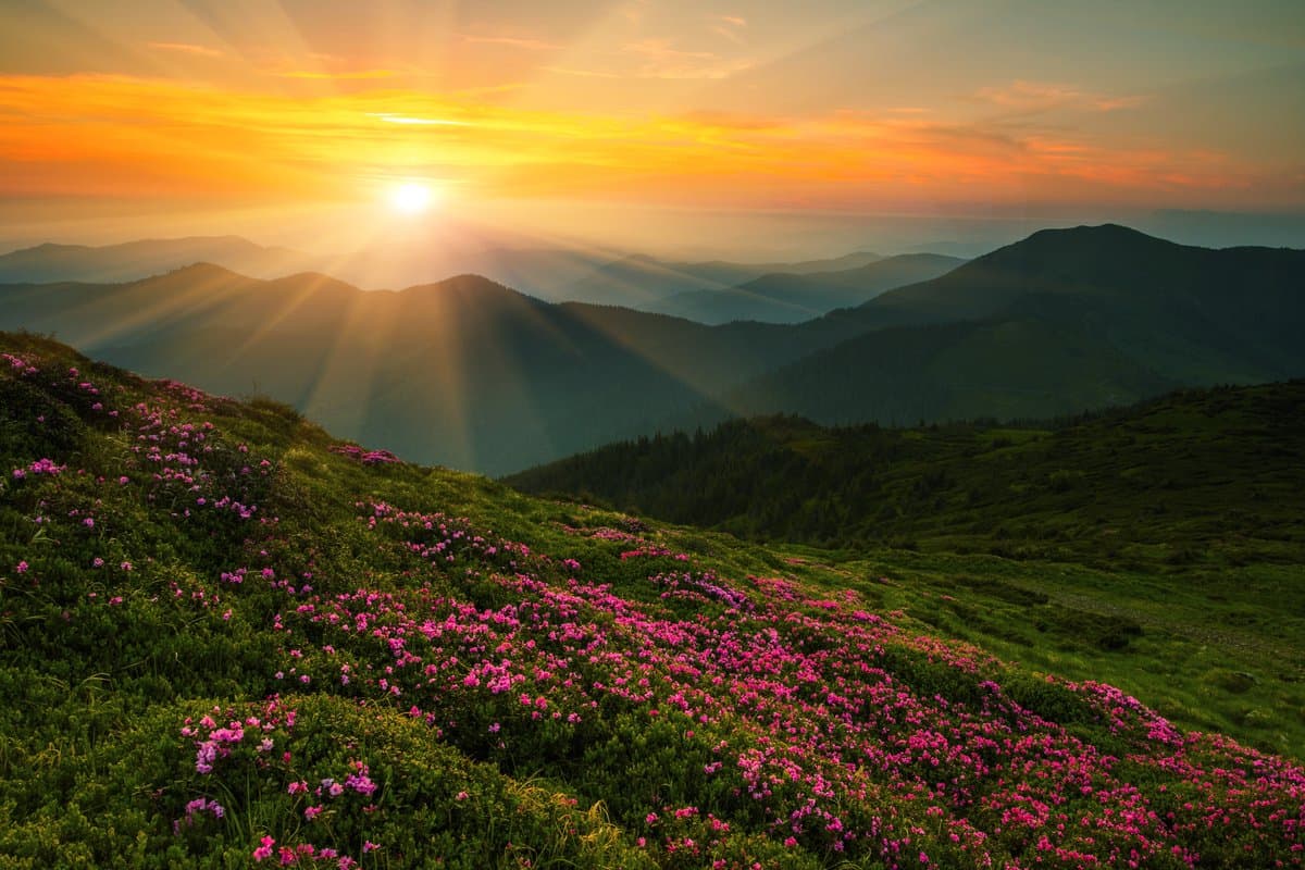 Start Small, Act Early, Begin Your Journey