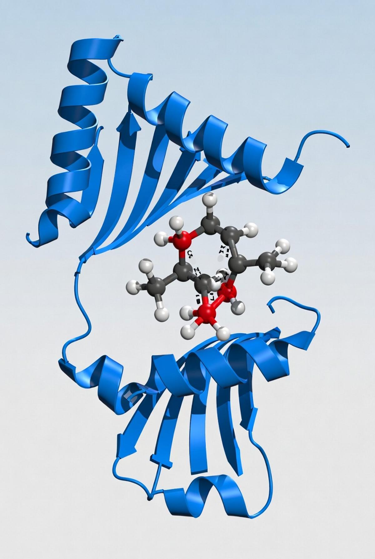 LLMs Beat JEPA World Models on Sparse Biological Data