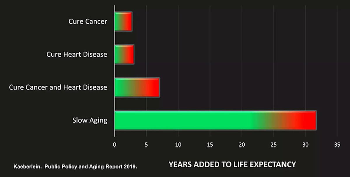 Curing Disease Adds Years; Slowing Aging Adds Decades