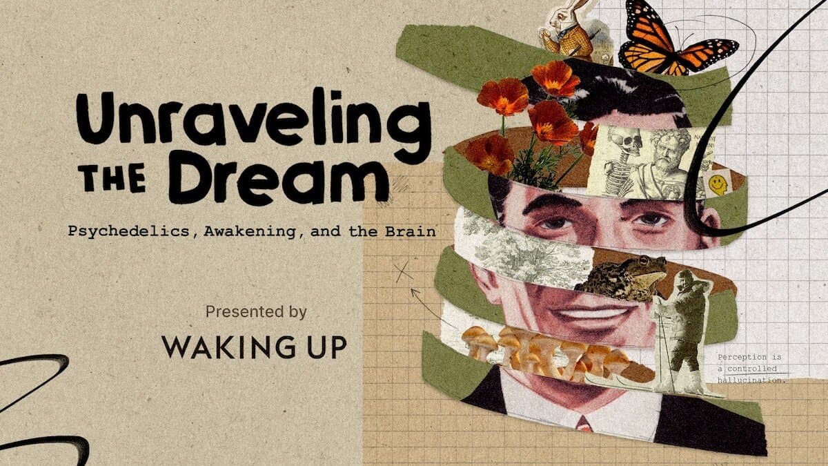 Free Documentary Explores Psychedelics, Awareness, and Meditation