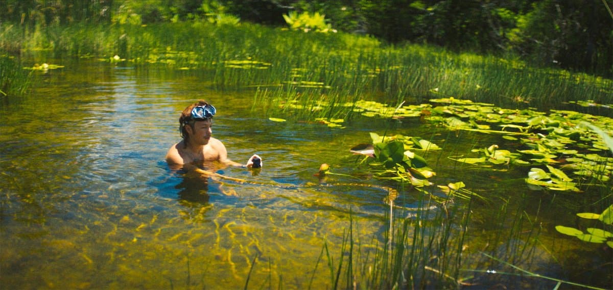 Florida's Wild Pursuit of Invasive Burmese Pythons