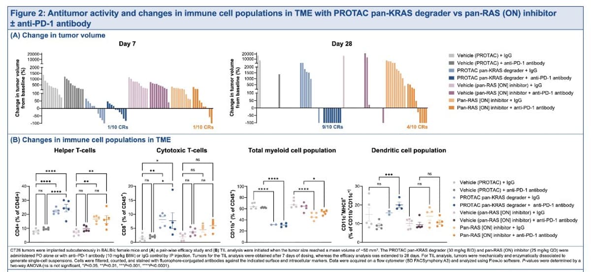 ARVN KRAS G12D Preclinical Shows Weak Tumor Inhibition
