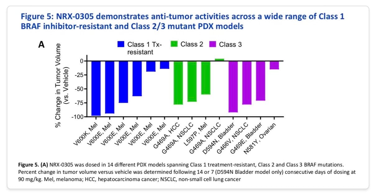 Nurix's NRX-0305 Shows