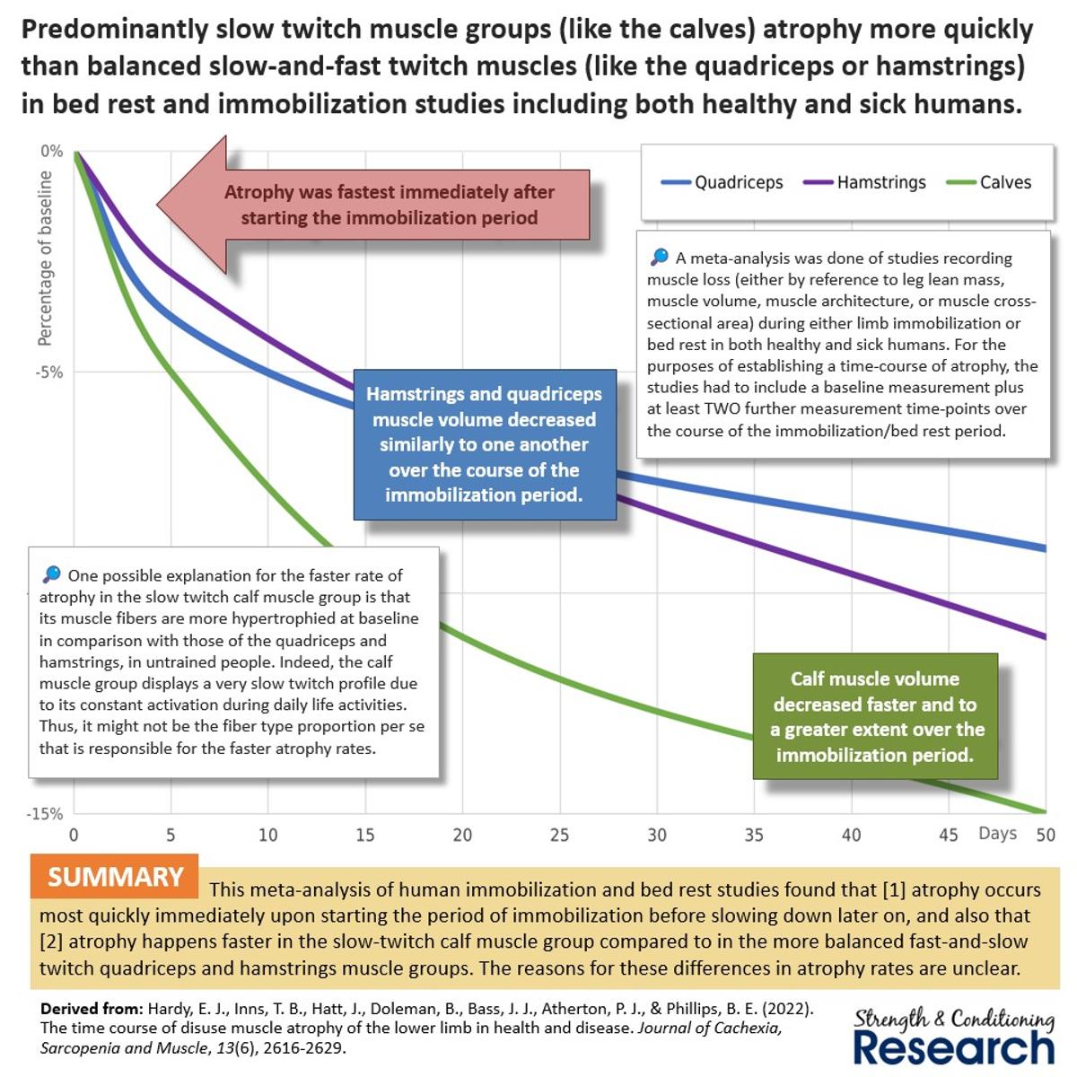 Postural Slow‑twitch Muscles Atrophy Faster when Immobilized