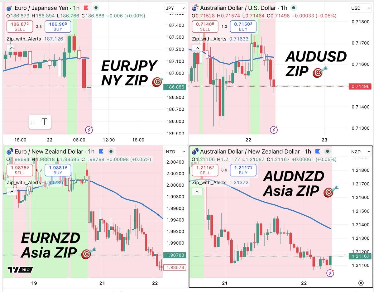 ZIP Delivers 7‑for‑7 Winning Setups in 12 Hours