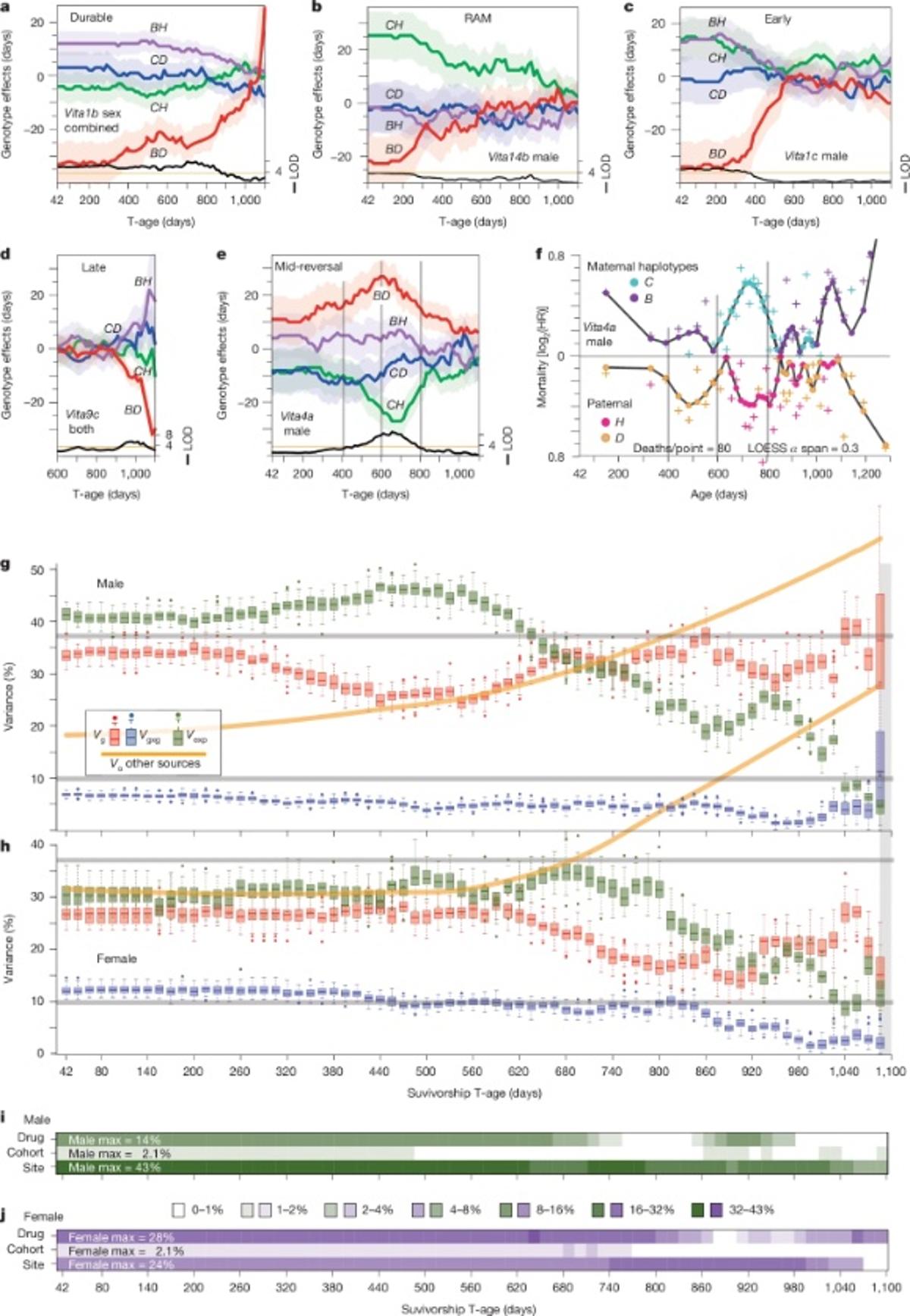 Genetic Bridge Links Ageing Theory to Lifespan Interventions
