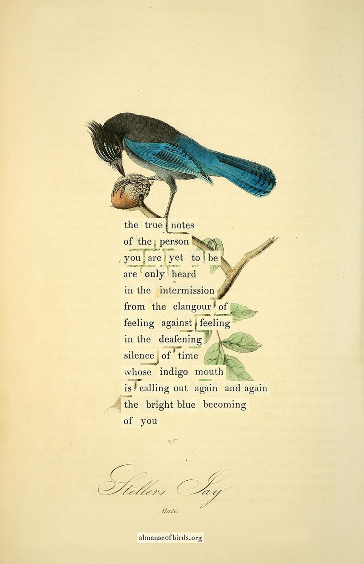 Embrace Courage to Unfold Your True Self