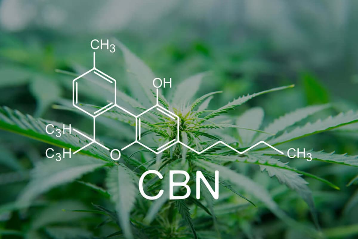 Study Confirms CBN Improves Sleep Quality