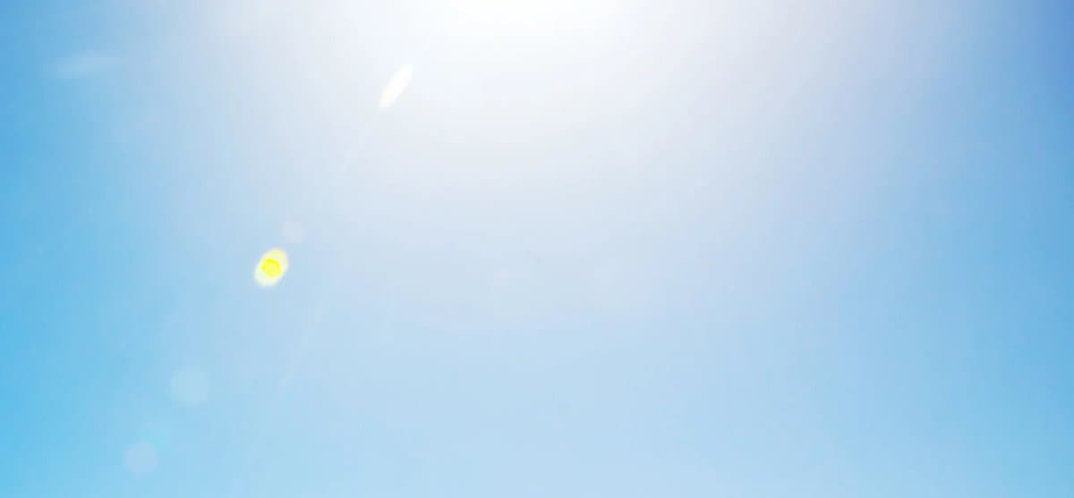 Simple Habit May Prevent Alzheimer’s, 16‑year Study Finds