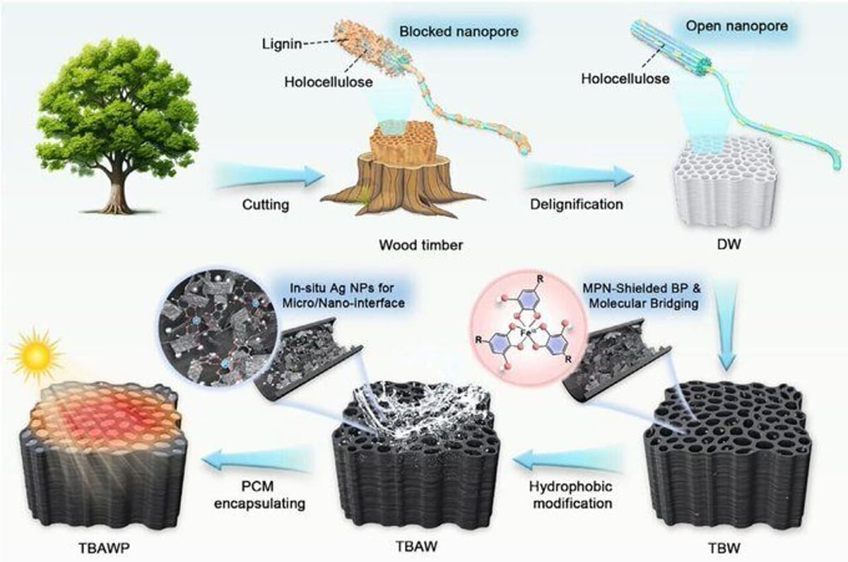 Too Much AI Use Erodes Workplace Confidence, Study Finds