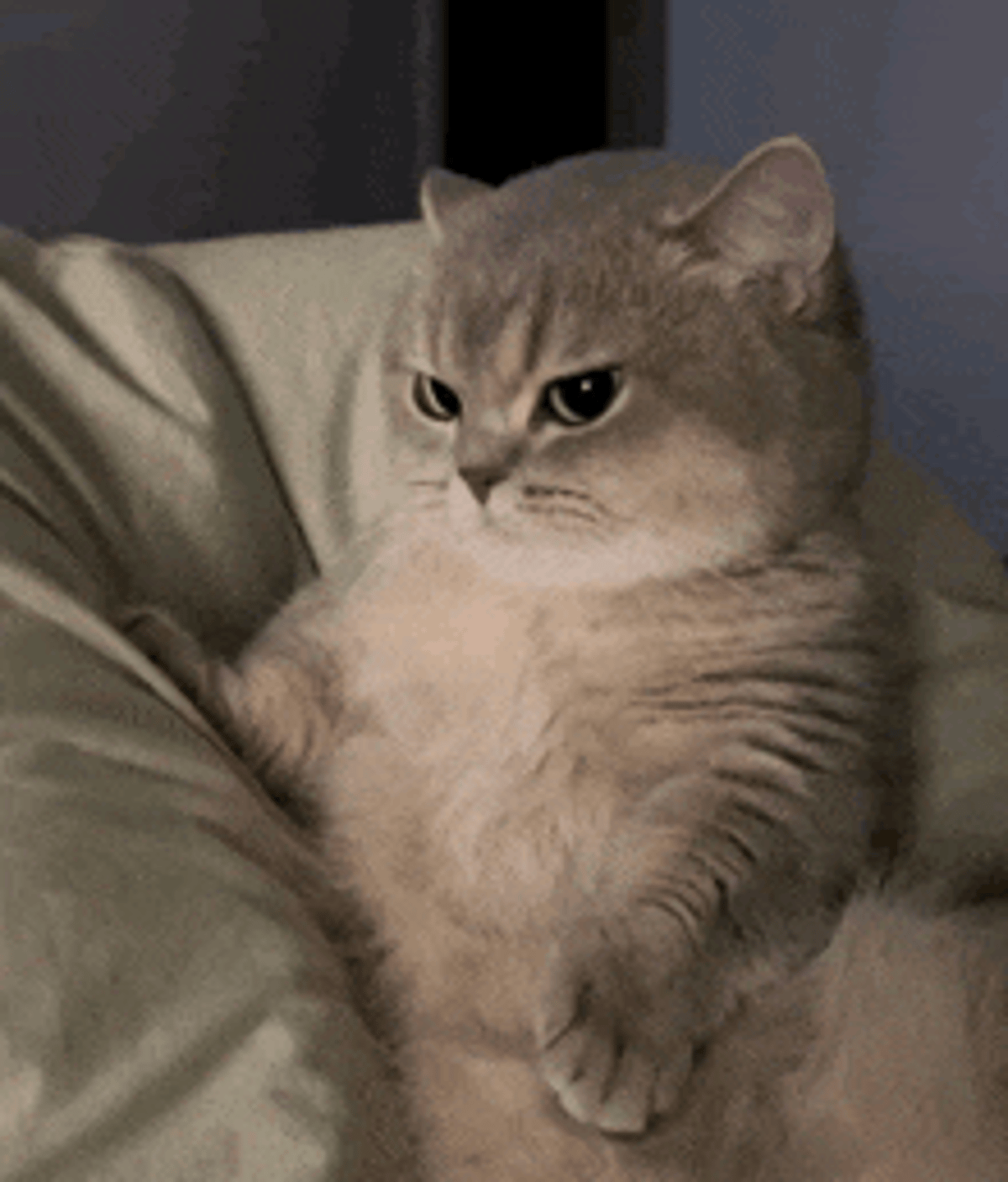 Gasoline Breakout Proves Skeptics Right, Experts Wrong