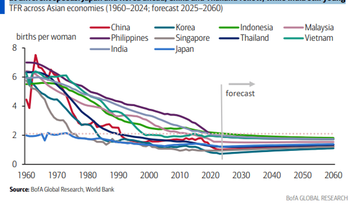 Asian Economies Face Staggered Fertility Shock and Aging