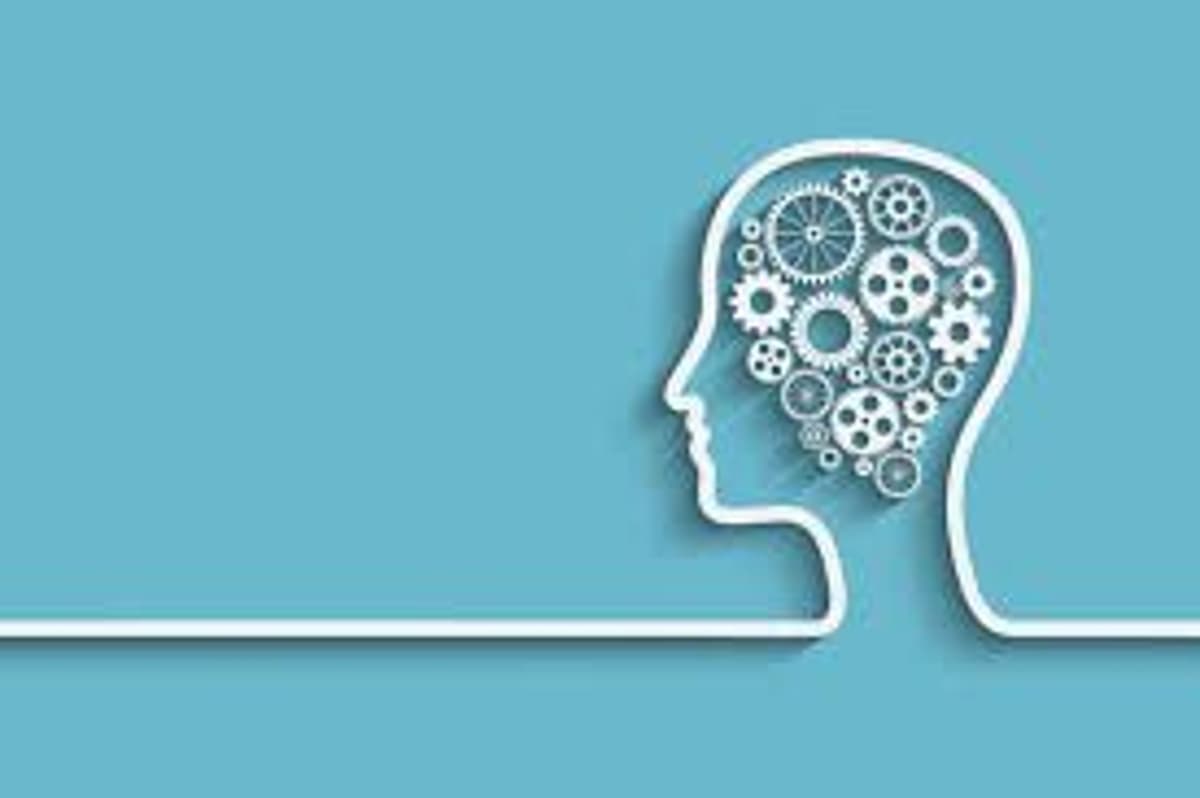 AI Tools Should Deepen, Not Replace, Student Thinking