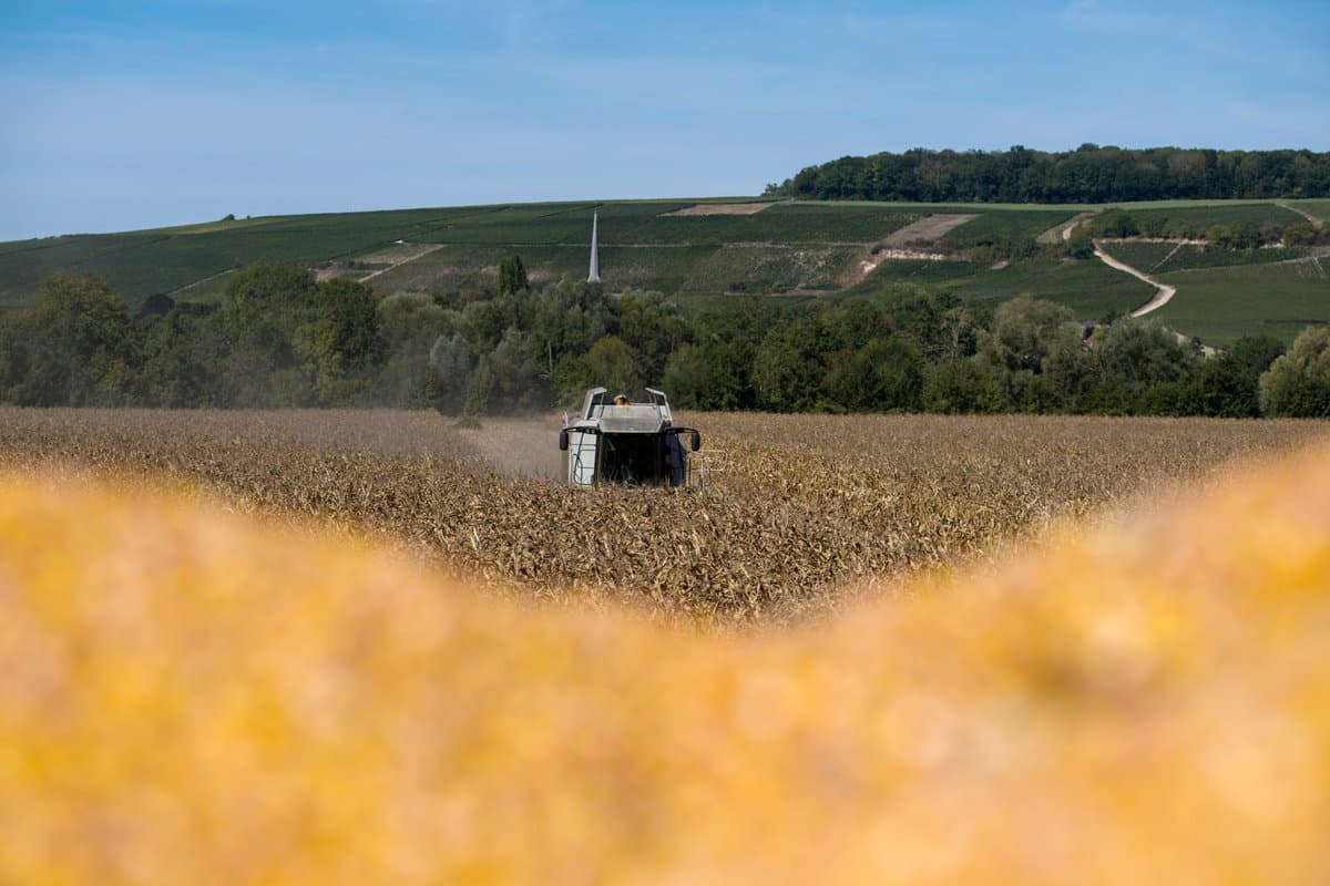 Iran War Drives up Costs, French Farmers Cut Corn Planting