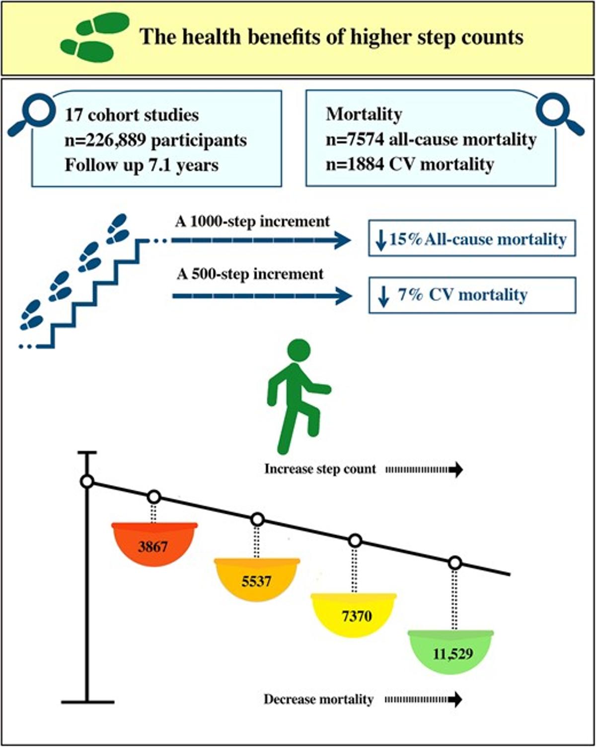 Every 1,000 Steps Cuts Mortality Risk by 15%