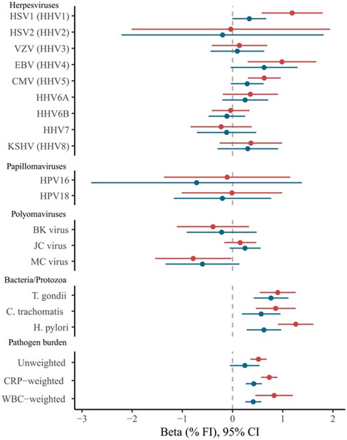 H. Pylori and T. Gondii Infections Accelerate Frailty in Aging