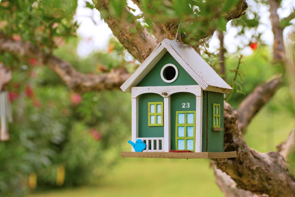 Invite Birds Home with Charming, Safe Birdhouses
