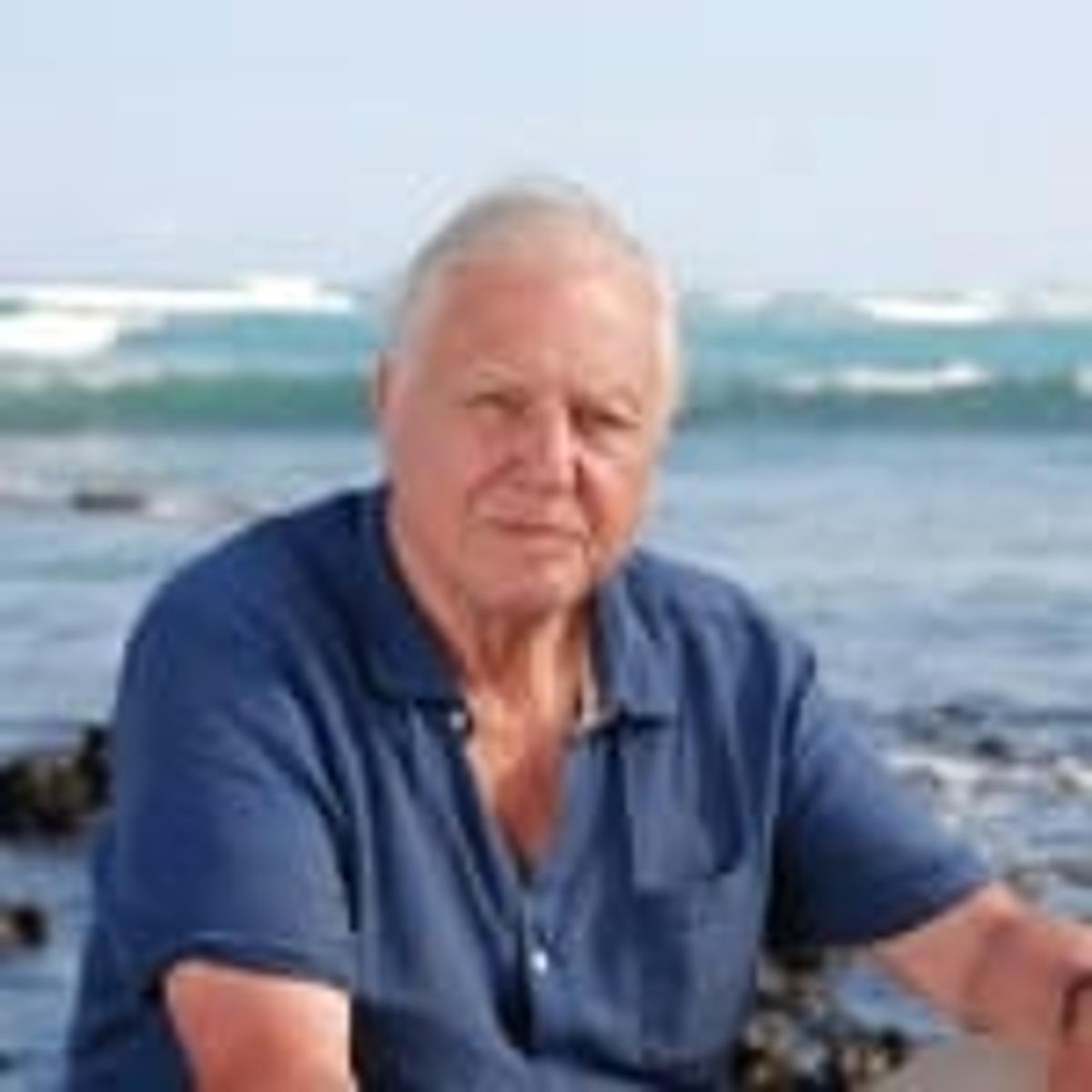 Attenborough Honored on 100th with Wasp Namesake