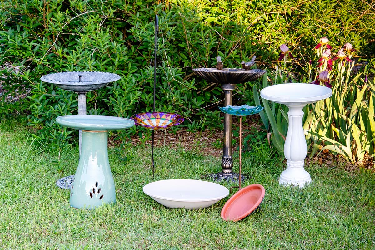 Vibrant Bird Baths Transform Your Backyard Oasis