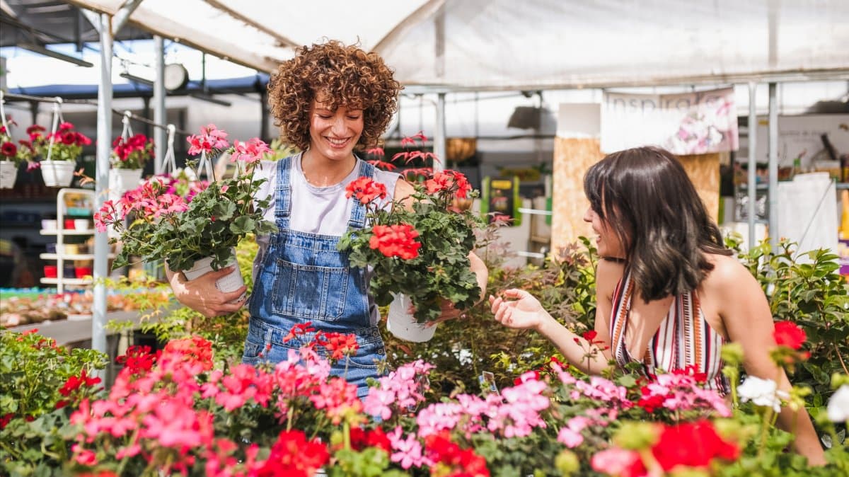 How to Spot the Healthiest Plants for Your Property