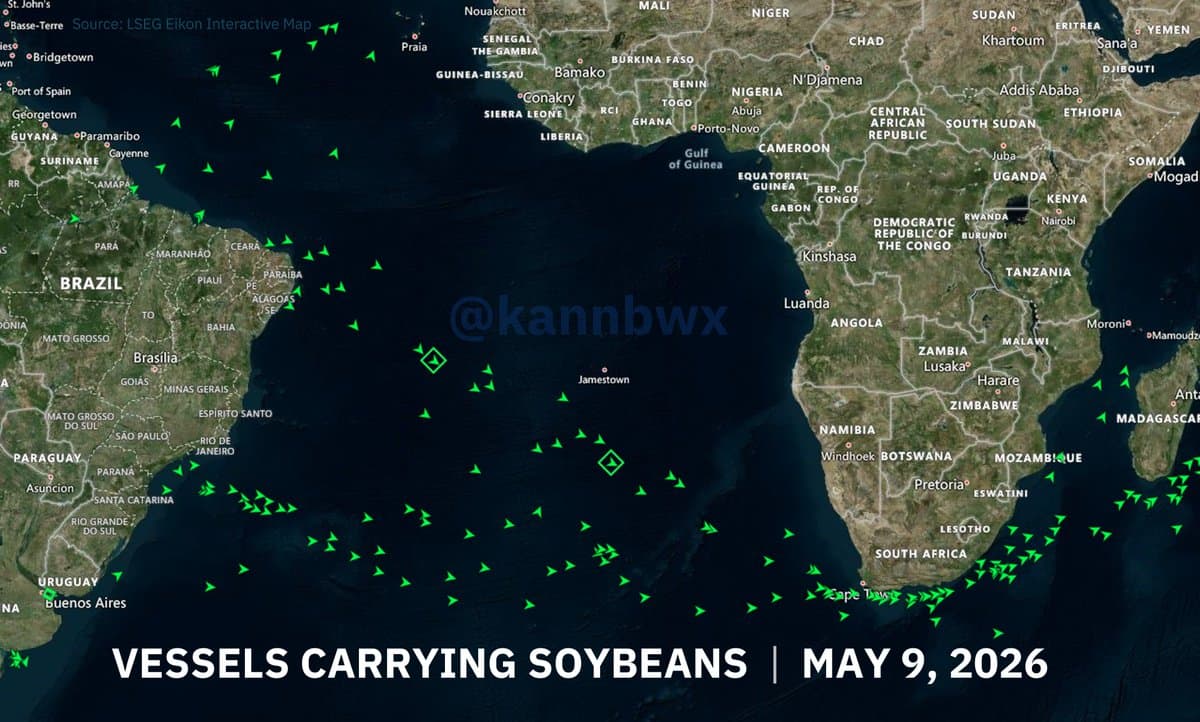 Brazil Sets Record Soy Exports to China Amid Chinese Shortfall