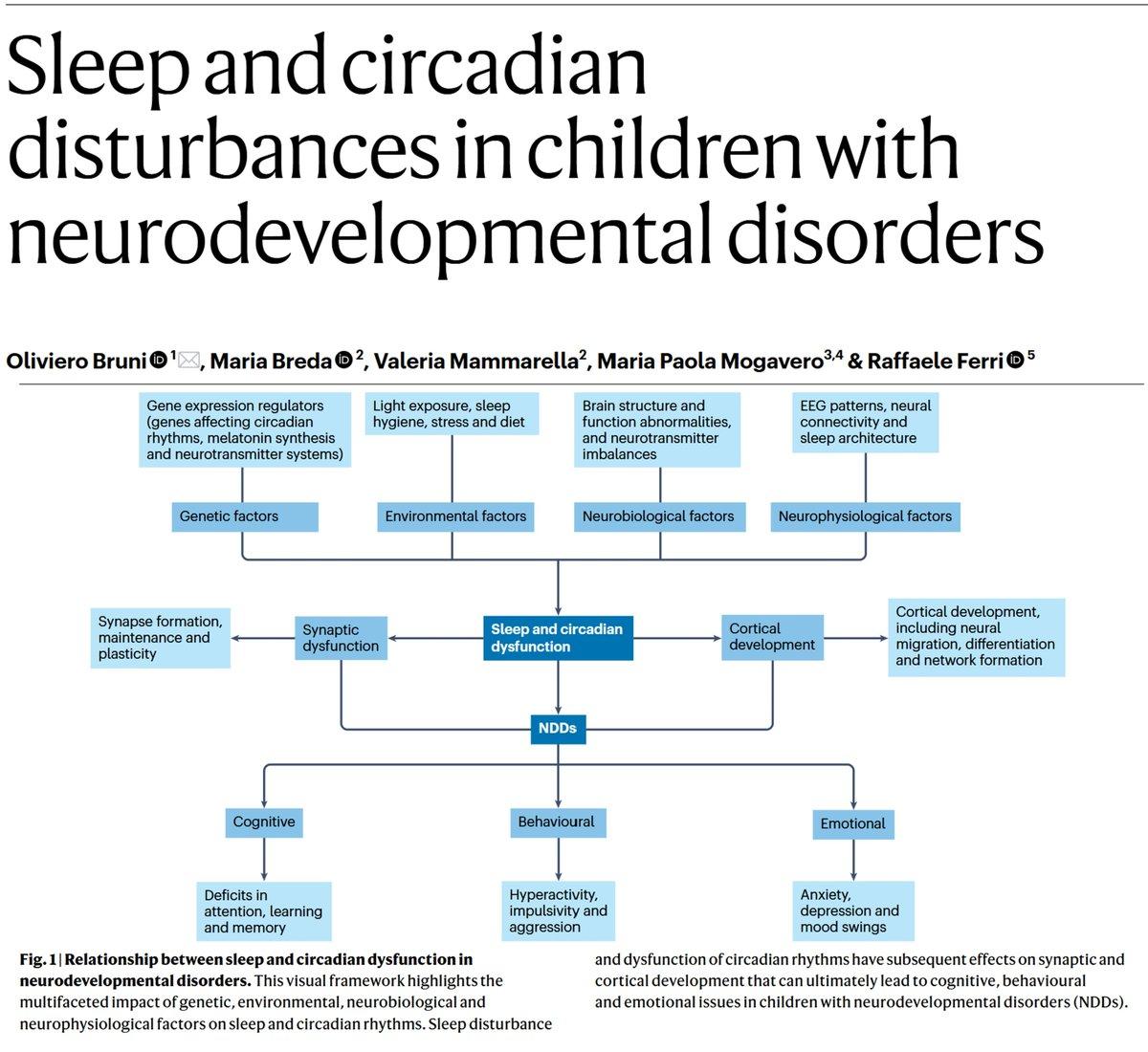 Sleep Essential for Brain Health in Neurodevelopmental Disorders