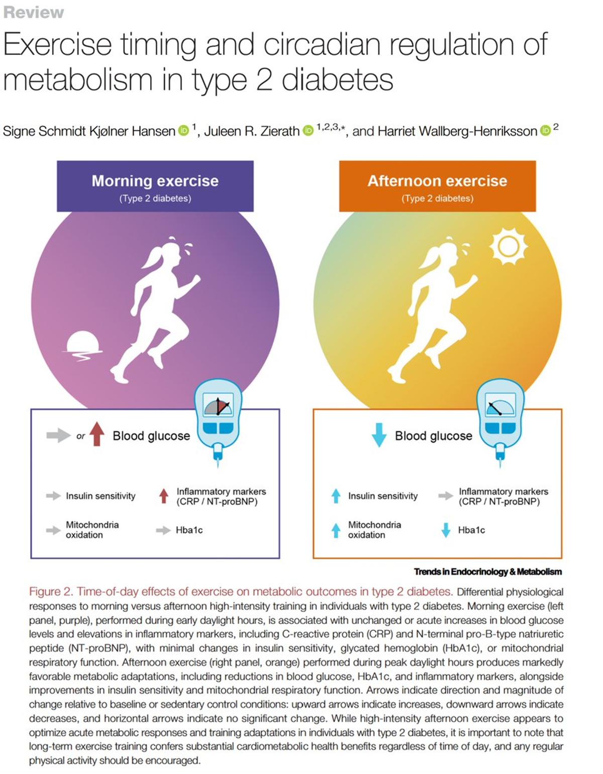 Evening Workouts Enhance Diabetes Control, Reduce Inflammation