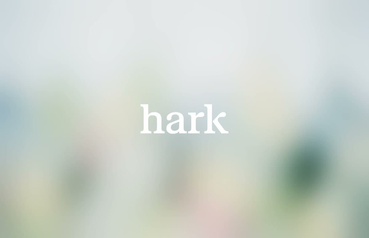Hark Hits 70 Staff, Seeks 100 More Hires