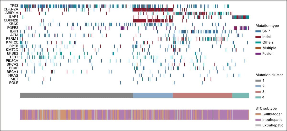 Biliary Cancer Subtypes Show Distinct Immune Signatures