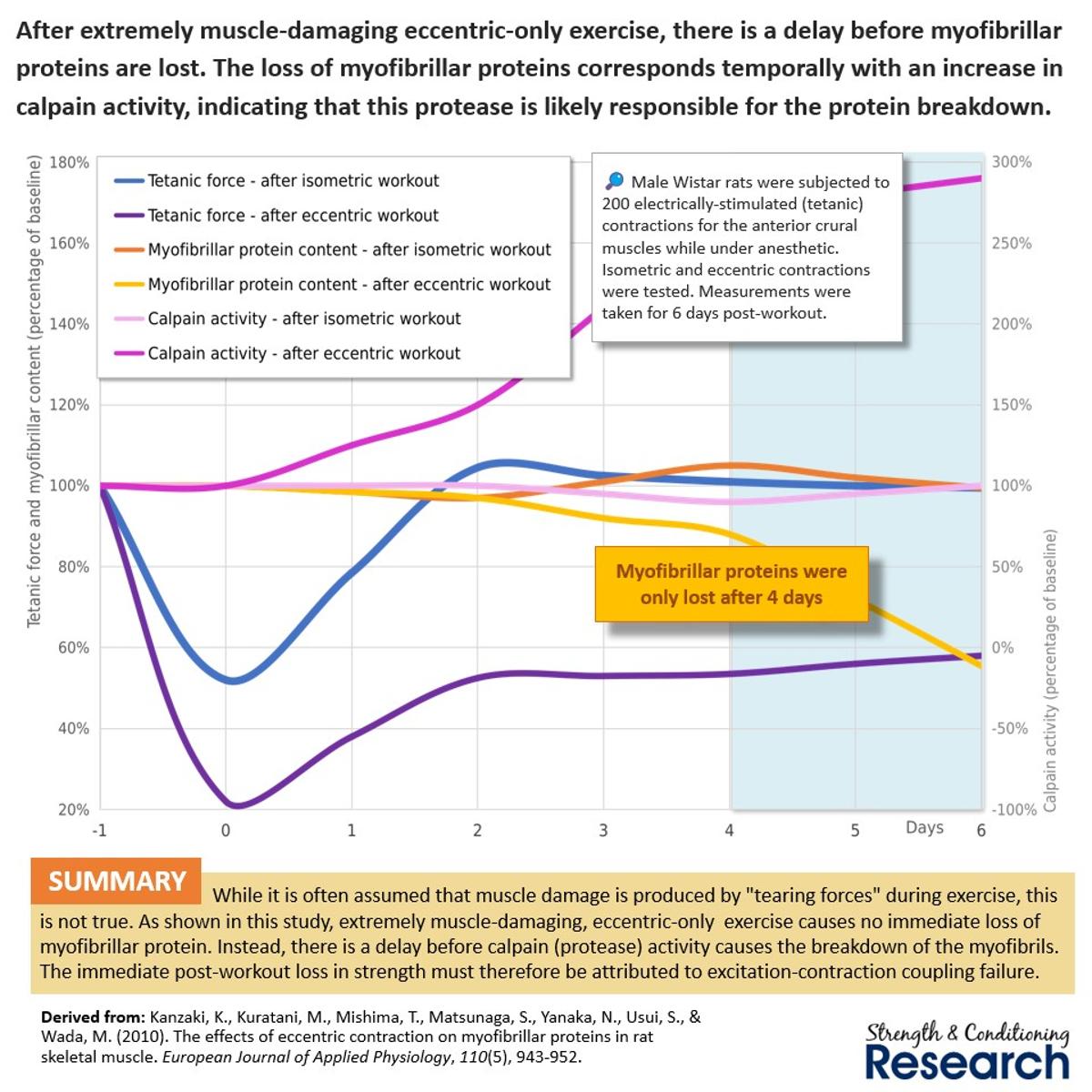 Muscle Damage Happens After, Not During Workouts