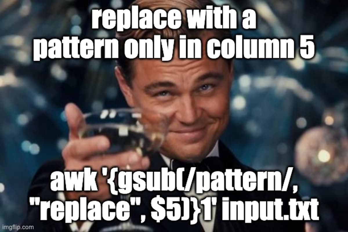 Replace Patterns in a Single Column Using Command‑line Tools