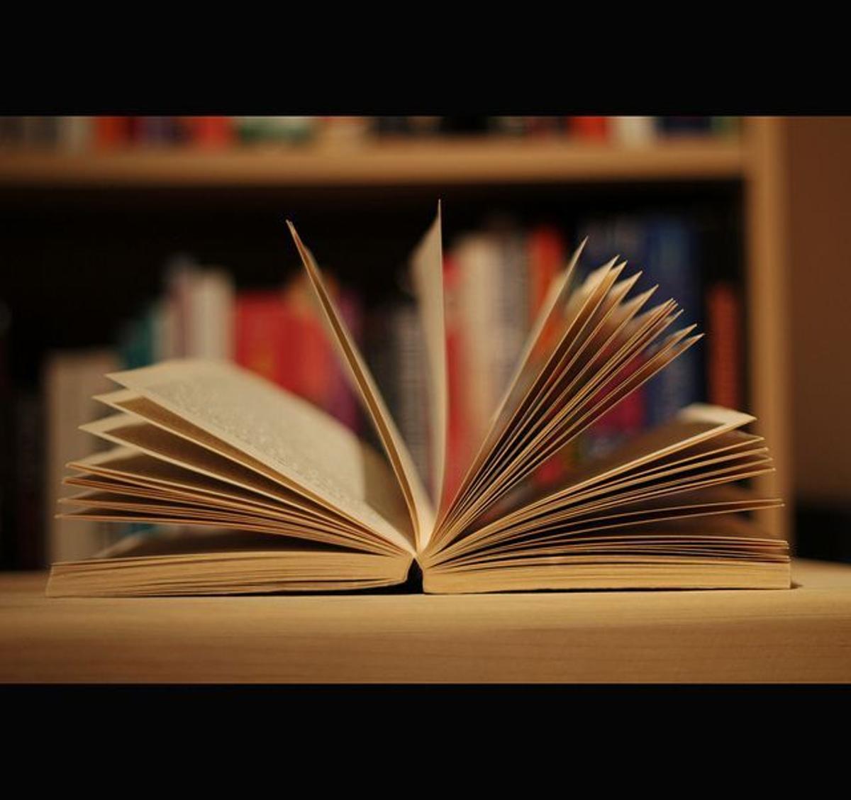 Stories Turn Data Into Actionable Leadership