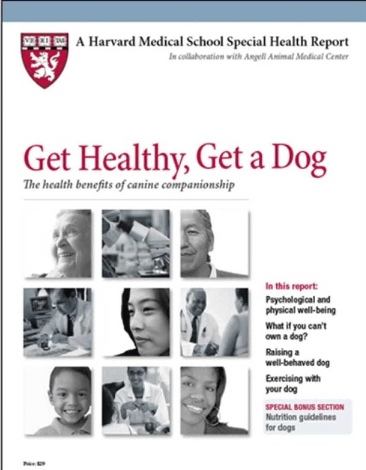 Dog Ownership Boosts Activity, Reduces Stress, Adds Purpose