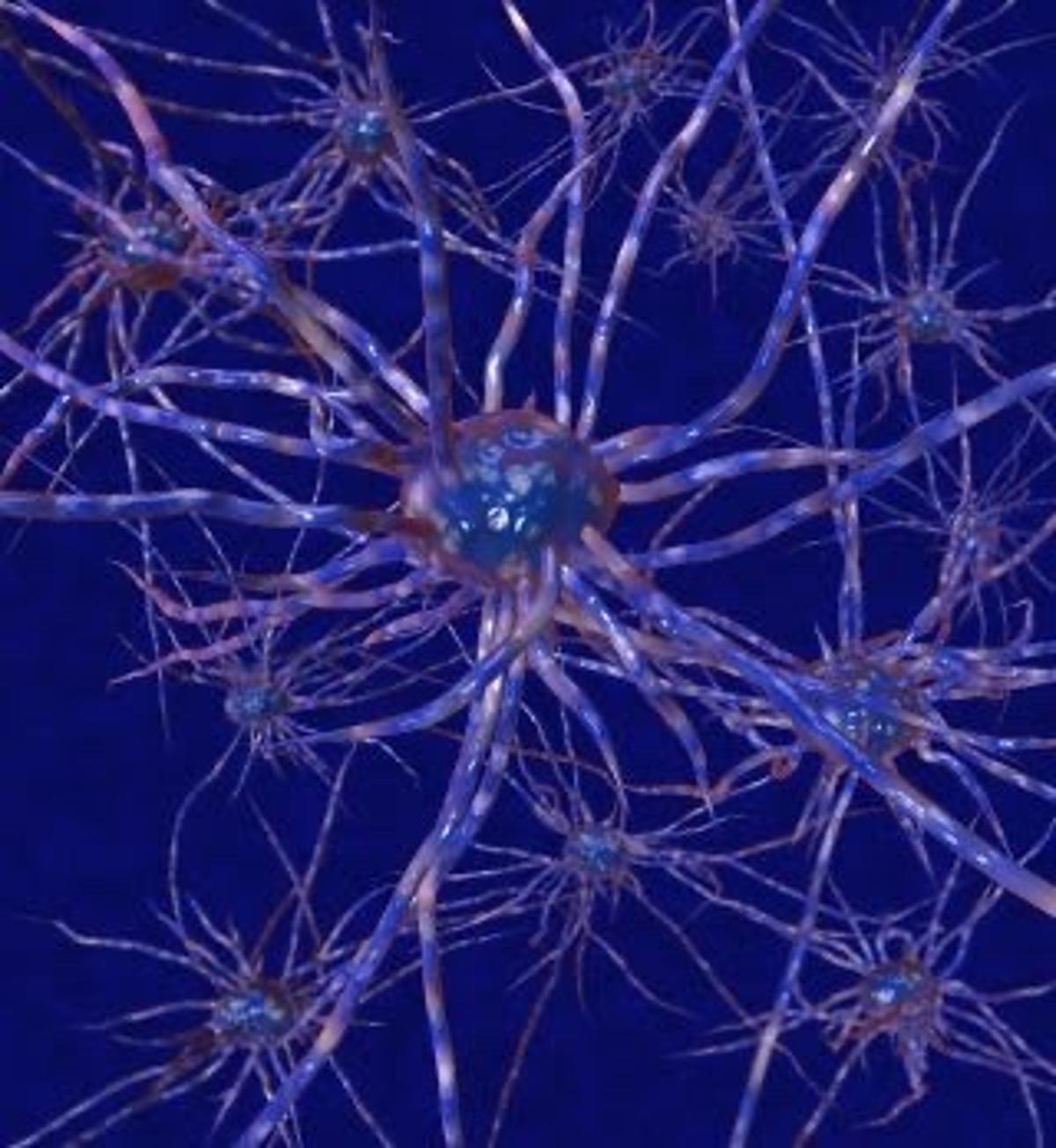 ADHD Isn't Caused by Low Dopamine, Says Science
