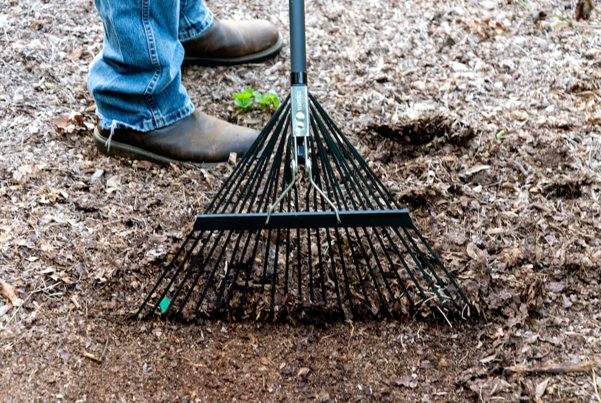 30+ Rakes Tested: Top Picks for Leaves, Mulch, Gravel