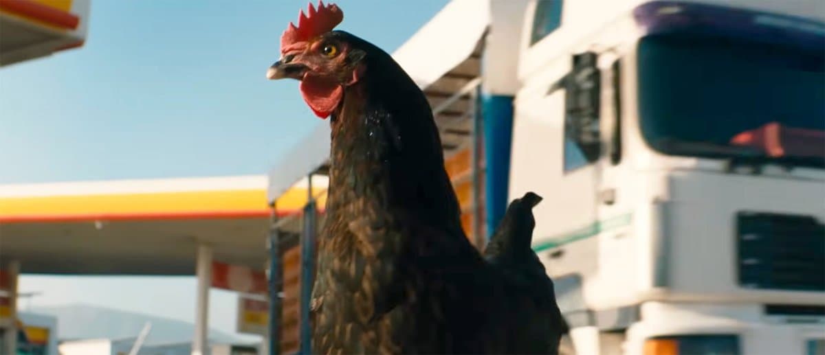 New Trailer Reveals ‘The Hen’—Chicken’s Wild Escape