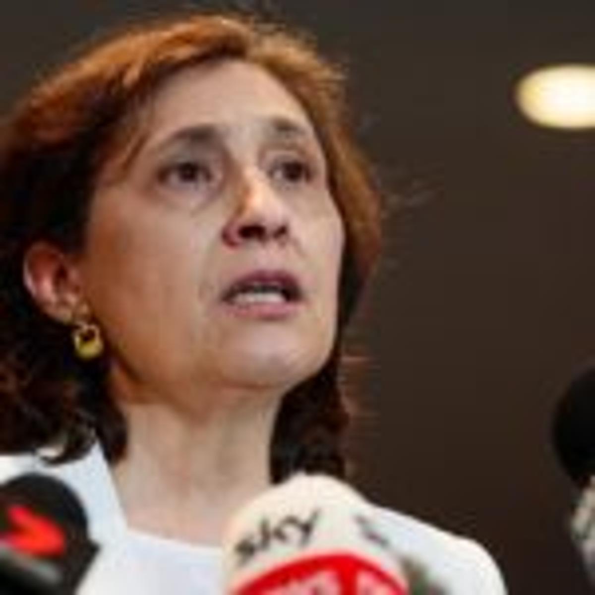 Energy Minister Vows to Halt Renewable Investment Before Election