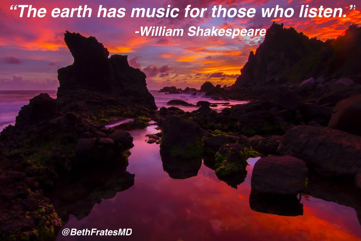 Engage All Senses, Discover Life’s Hidden Richness