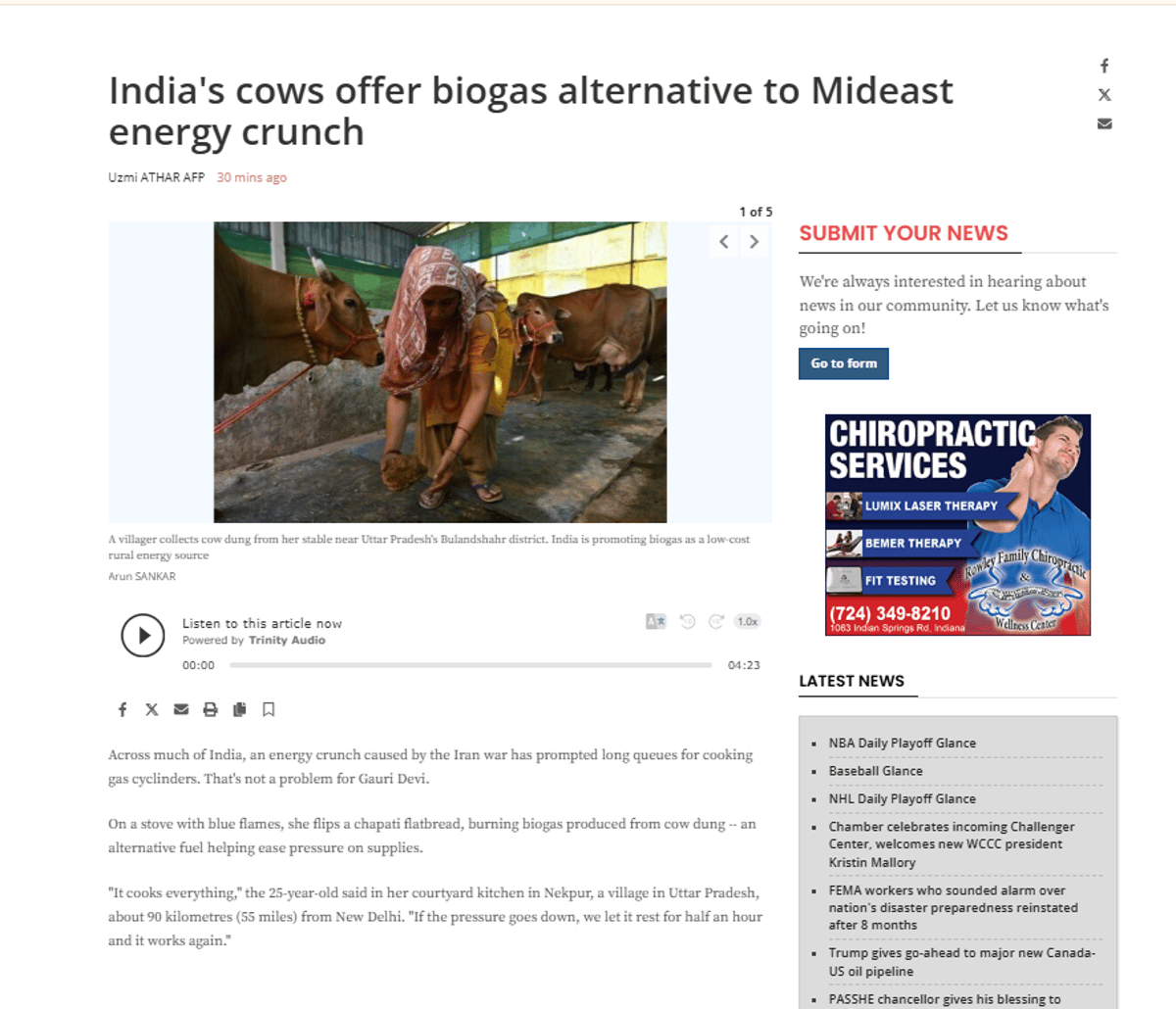 Indian Cows Provide Biogas Solution for Middle East Energy Shortage