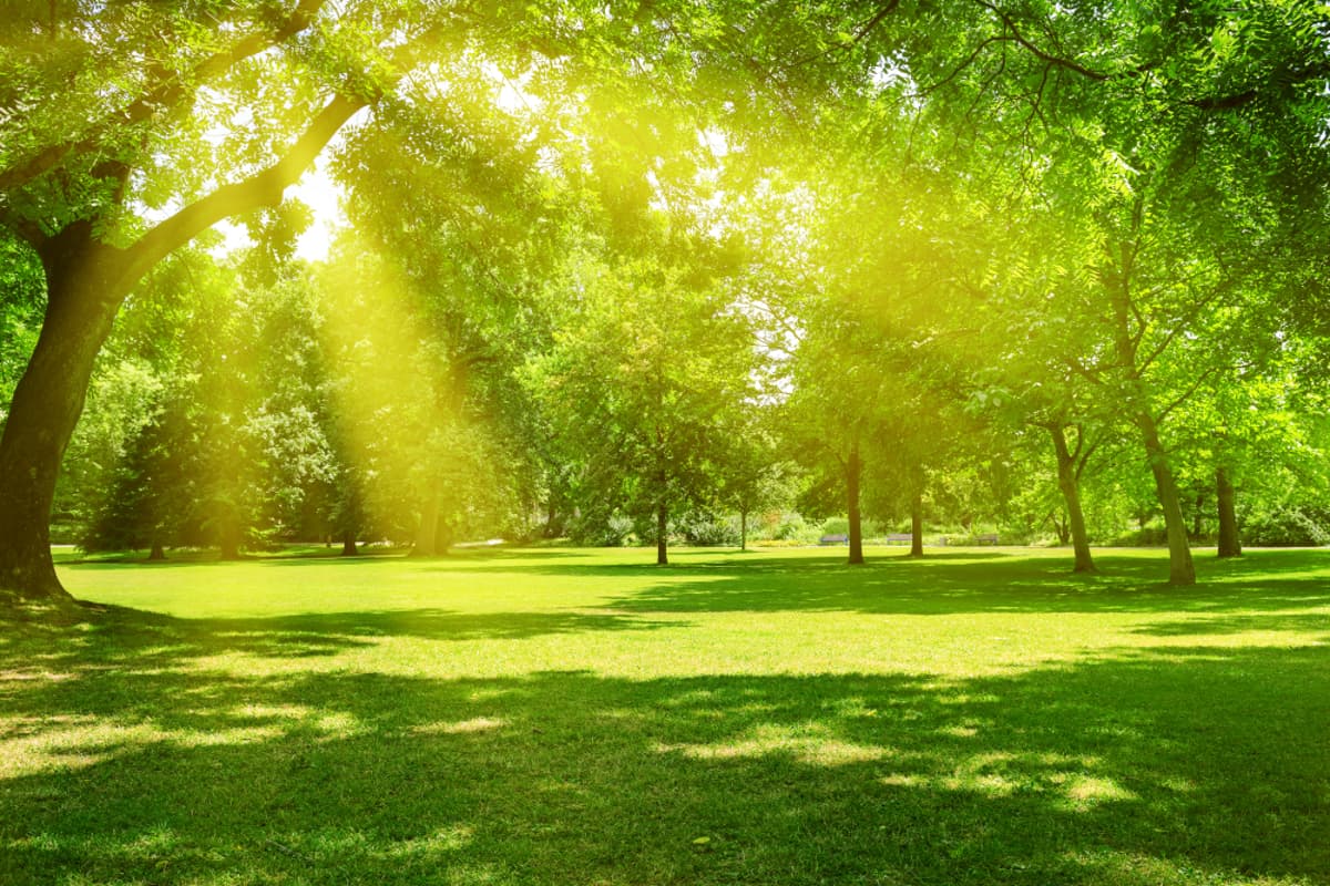 True Peace Stems From Within, Not External Events