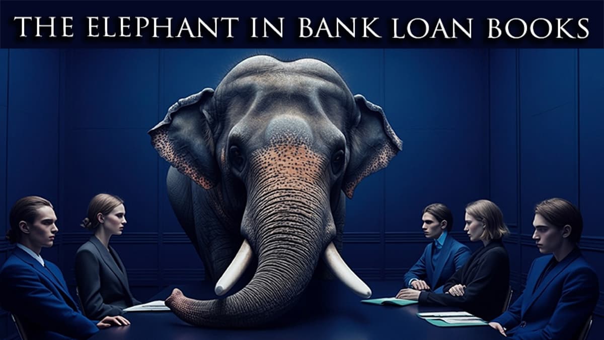 Hidden Risks Loom in Bank Loan Portfolios