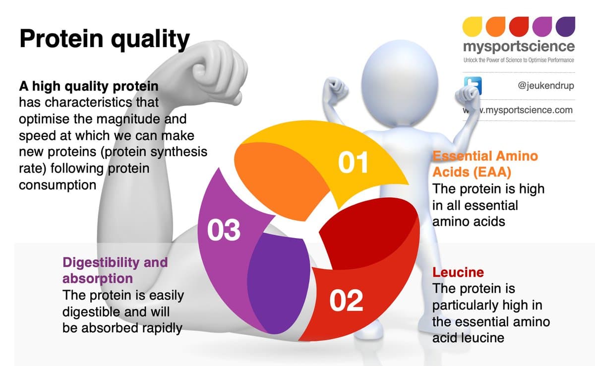 Protein Quality Determines Muscle Growth Efficiency