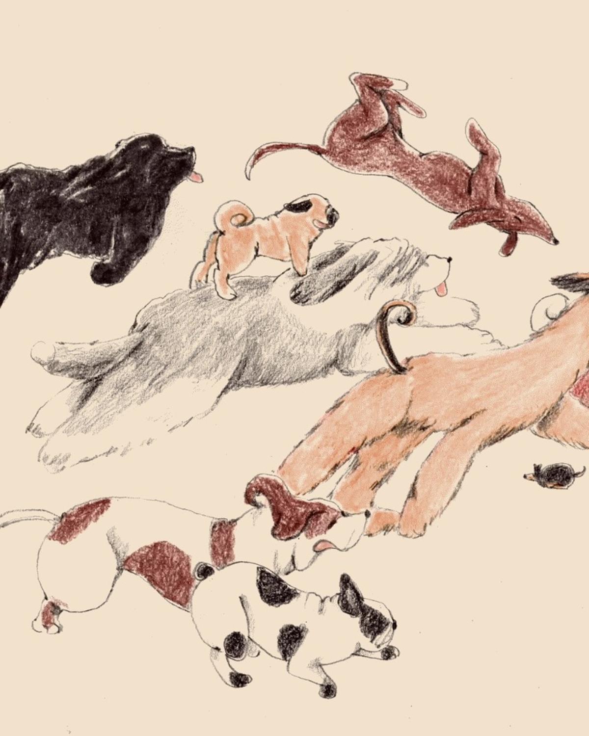 Longevity Pill May Redefine Human‑dog Bonds