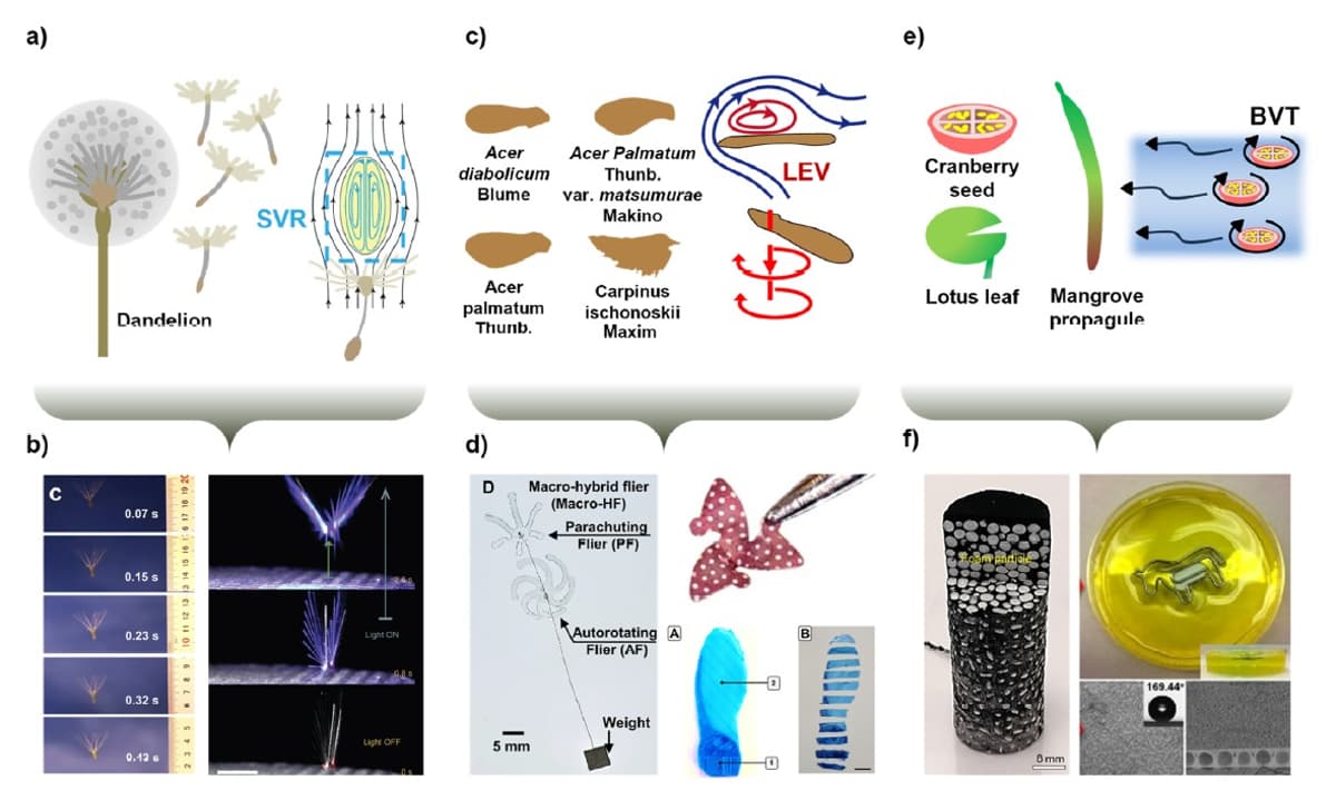 Physics‑Driven Resorbable Sensors Enable Flow‑Following Environmental Monitoring