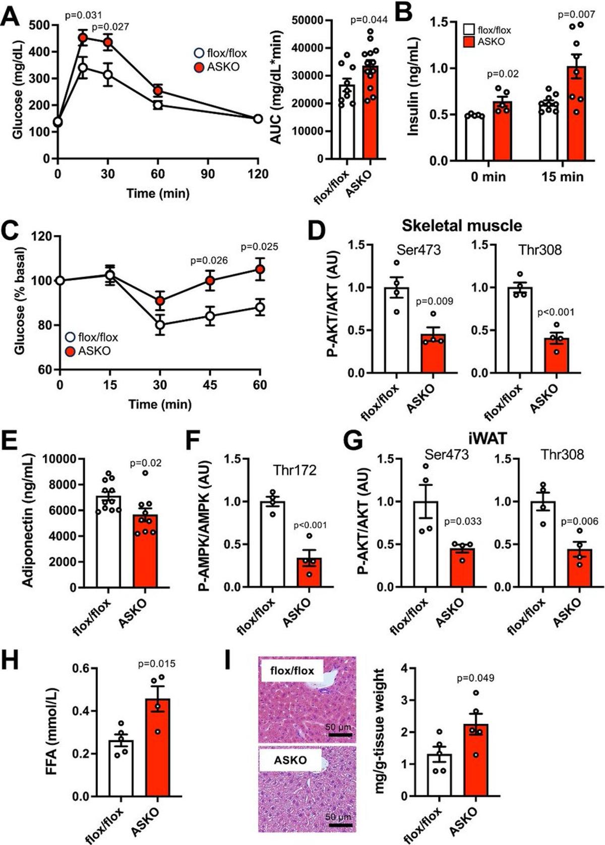 Adipocyte SLC25A51 Controls Mitochondrial Function and Aging Metabolism