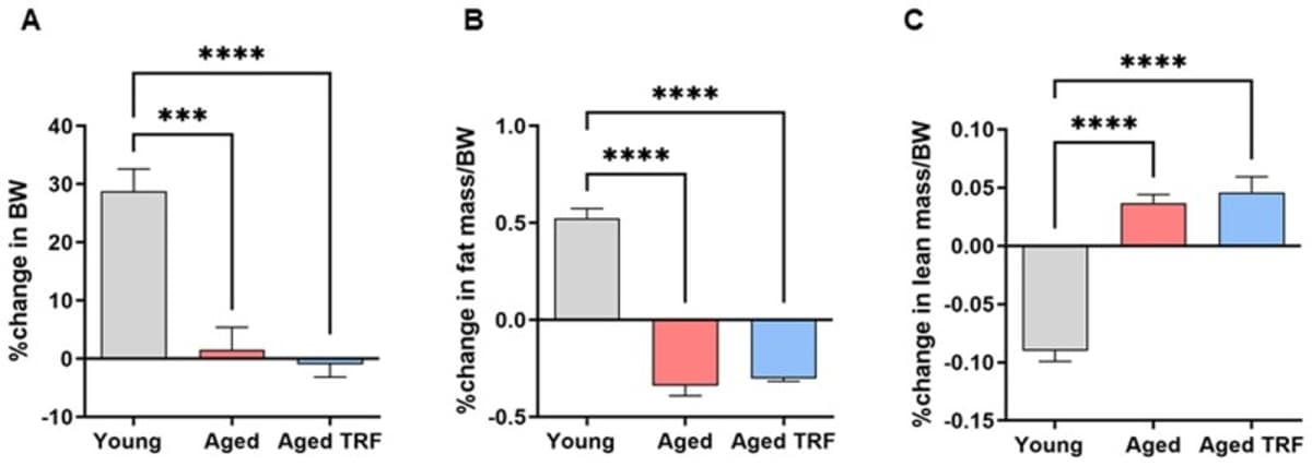 Time‑restricted Feeding Restores Metabolic Health in Aging Mice