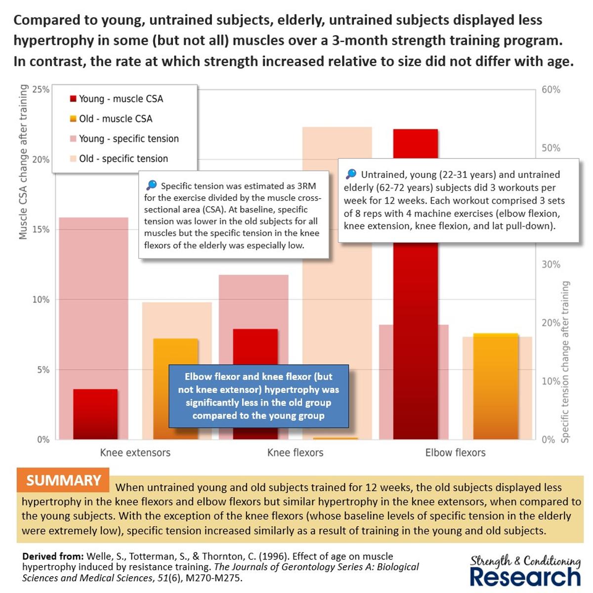 Older Adults' Muscle Gains May Vary by Muscle Type