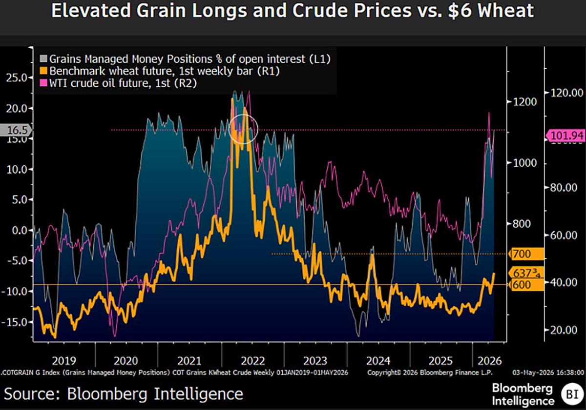 Wheat Futures Hit 2‑Year High on Record Speculator Net‑Long