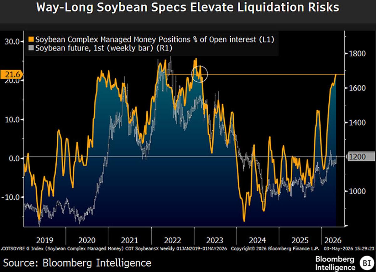 Soybean Net-Longs Triple Corn, Heightening Liquidation Risk
