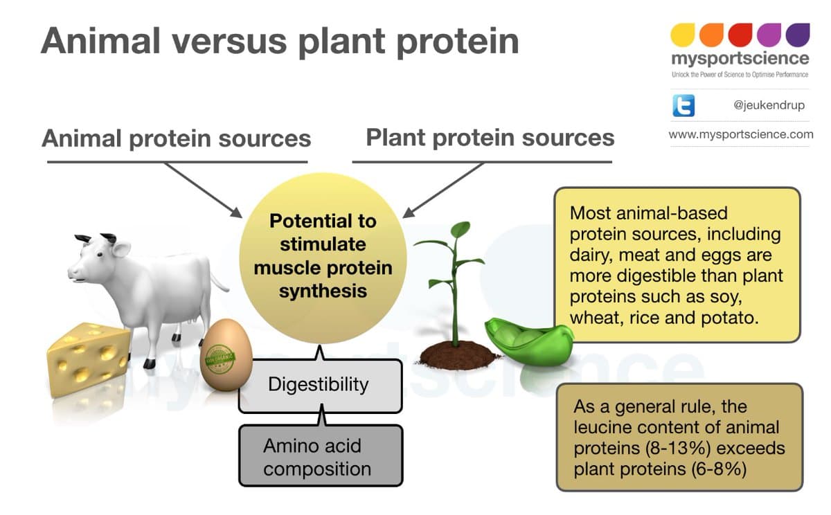 Animal and Plant Proteins Both